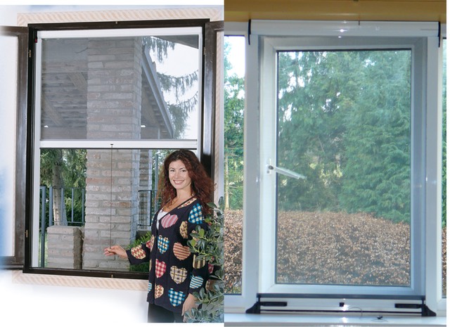 flyscreen-roller-windows