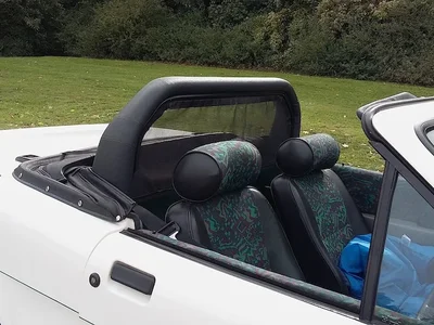 Wind Deflector Flyscreen